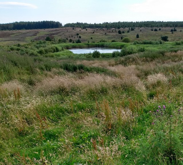 Moorland Pond (3)