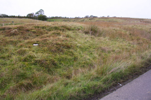 Moorland on NW side of Tommy Road with new woodland plantation