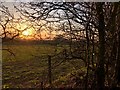 Farmland Near Bollington