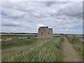 TM3541 : Martello Tower Y at Bawdsey by Chris Holifield