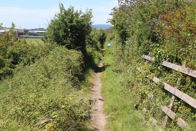 Wales Coast Path, left bank, River Usk
