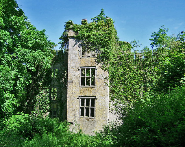 Duarigle Castle, Millstreet, Cork (2) © Garry Dickinson cc-by-sa/2.0 ...