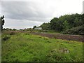 Blackhall Rocks railway station (site), County Durham