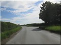 The  Mile  approaching  the  Meltonby  junction  on  the  right