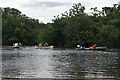 Rowing boats at Hollow Pond