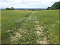 Path to Five Oak Green Road