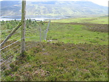NN6666 : Deer fence towards Loch Errochty by Chris Wimbush