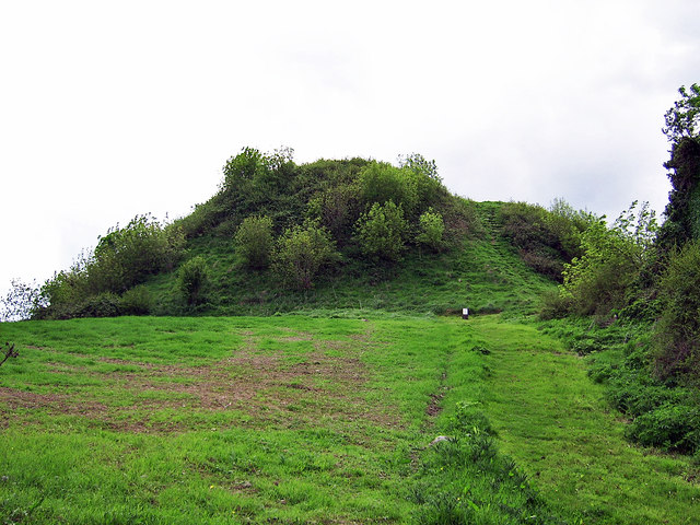 Knockgraffon Motte, Cahir, Tipperary © Garry Dickinson cc-by-sa/2.0 ...