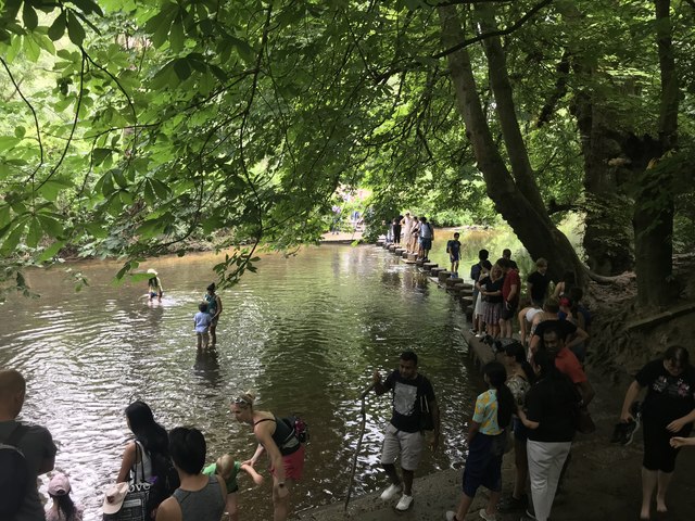 Ford and Stepping Stones at Box Hill