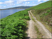 NN6865 : Track beside Loch Errochty by Chris Wimbush