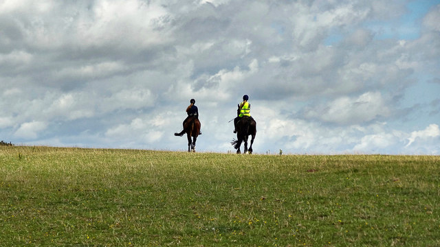 Horse riders near the South Downs Way