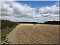 Footpath next to Harvested Wheat Field