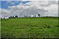 Clouds over a hill, Edergole Upper