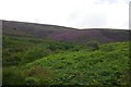 Slopes of Meikle Conval