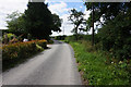 Ruddings Lane towards Bowland Lane