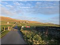 Road to Home Farm, Sumburgh