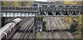 Piccadilly Line crosses the Central Line