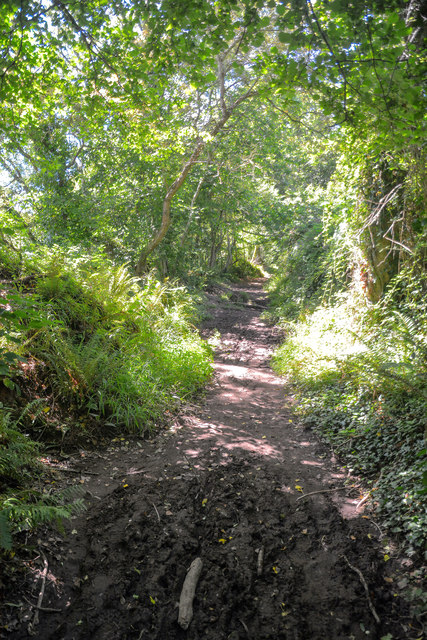 Slapton : Footpath © Lewis Clarke cc-by-sa/2.0 :: Geograph Britain and ...