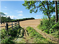 Field on south side of Sturdy House Lane