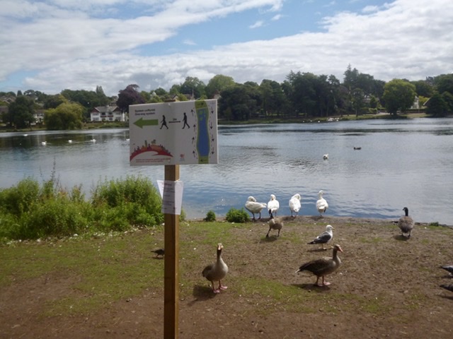 Social distancing at Roath Park Lake, Cardiff