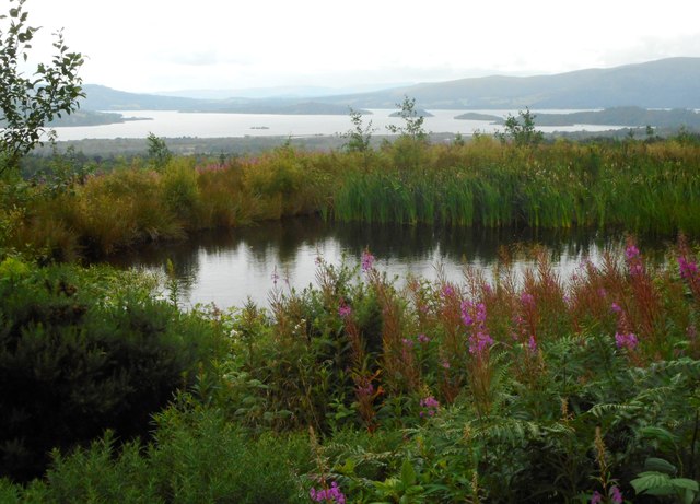 Small pond beside the West Highland Way