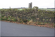 SE0137 : View over dry stone wall on NW side Sun Lane towards Lumb Foot by Roger Templeman