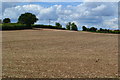 SU1634 : Stubble field beside Great Drove by David Martin