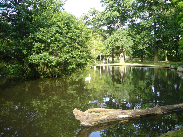 Trisss Pond, Bushy Park