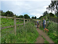 Gate with dog walkers