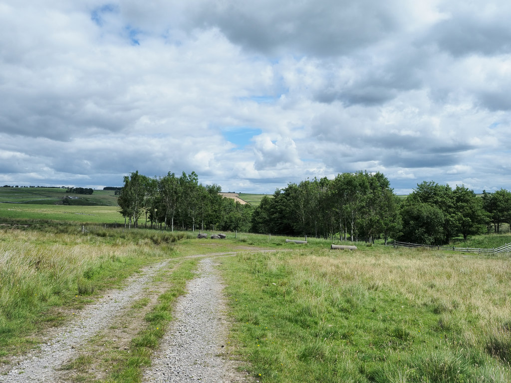 Gravelled road approaching woodland © Trevor Littlewood cc-by-sa/2.0 ...