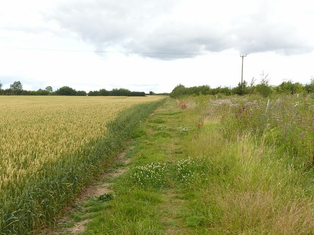 Public footpath through Middle Meadow