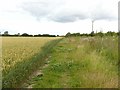 Public footpath through Middle Meadow