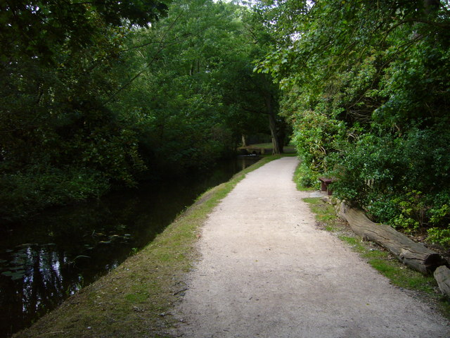 Path in Waterhouse Woodland Garden