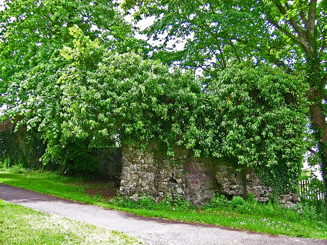Tralee Park Grotto, former Denny Estate (2)
