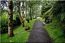 H3462 : Path leading to the Eye Well, Dromore by Kenneth  Allen