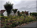 Flower display in front of timber framed house, Broughton Hackett