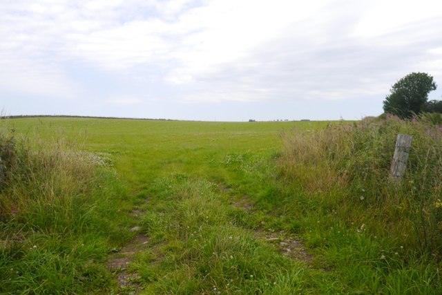 After the silage crop, Kinmuck © Richard Webb cc-by-sa/2.0 :: Geograph ...