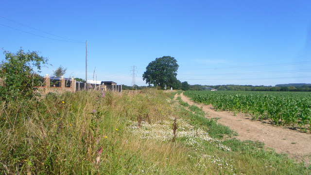 Farmland by Newell's Lane