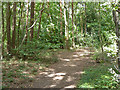 Path, Horsell Common