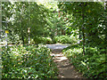 Path, Horsell Common