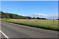 TL8698 : Field by the B1108 near Bodney Camp by David Howard