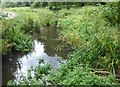 The old course of the River Wandle in Wandle Park