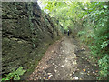 An extraordinary lane cut in slate