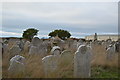 Graves, Church of St George