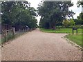 Footpath from Radley Park to Oxford Road, Lodge Hill