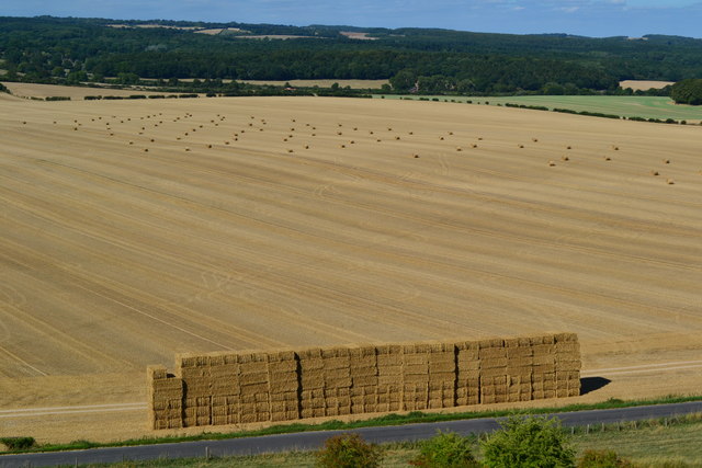 Very large linear haystack at the foot of Dean Hill