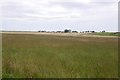 Grass for silage near Whiterashes