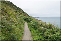 SS5047 : South West Coast Path in Torrs Park by Bill Boaden