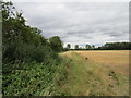 Track and stubble field near Moor Farm