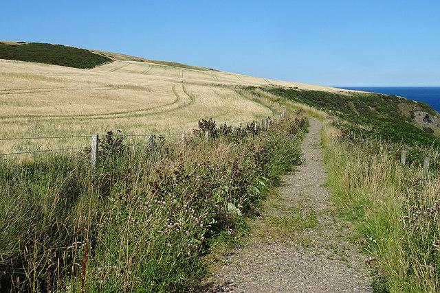 New Path to Troup Head © Anne Burgess :: Geograph Britain and Ireland